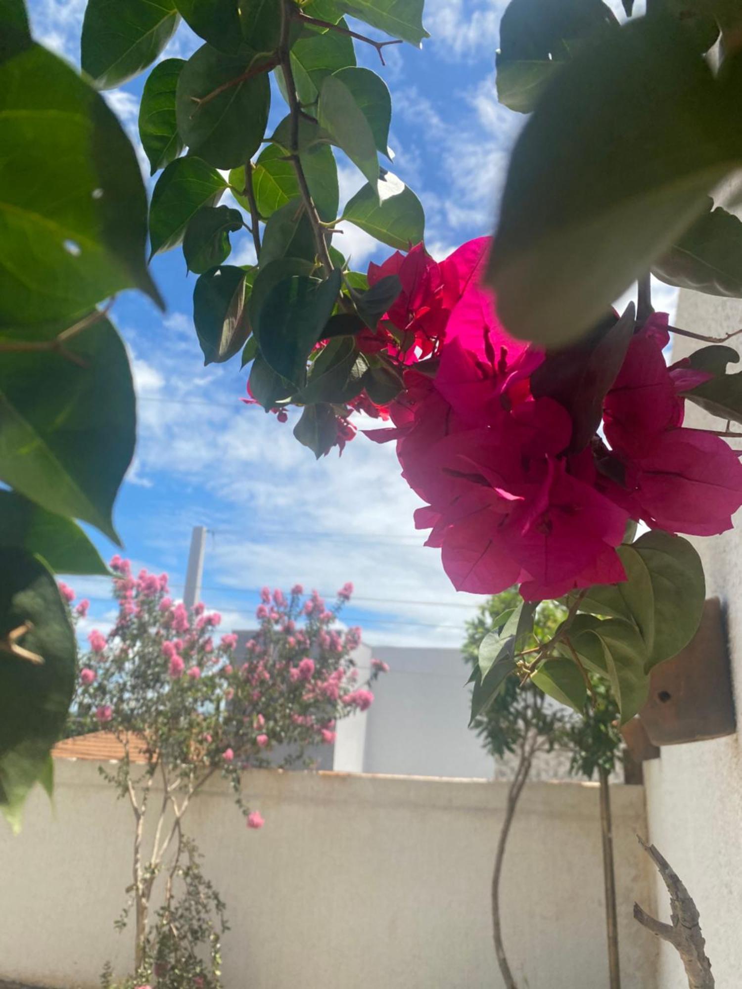 Queiroz Palace Hotel Siqueira Campos ภายนอก รูปภาพ