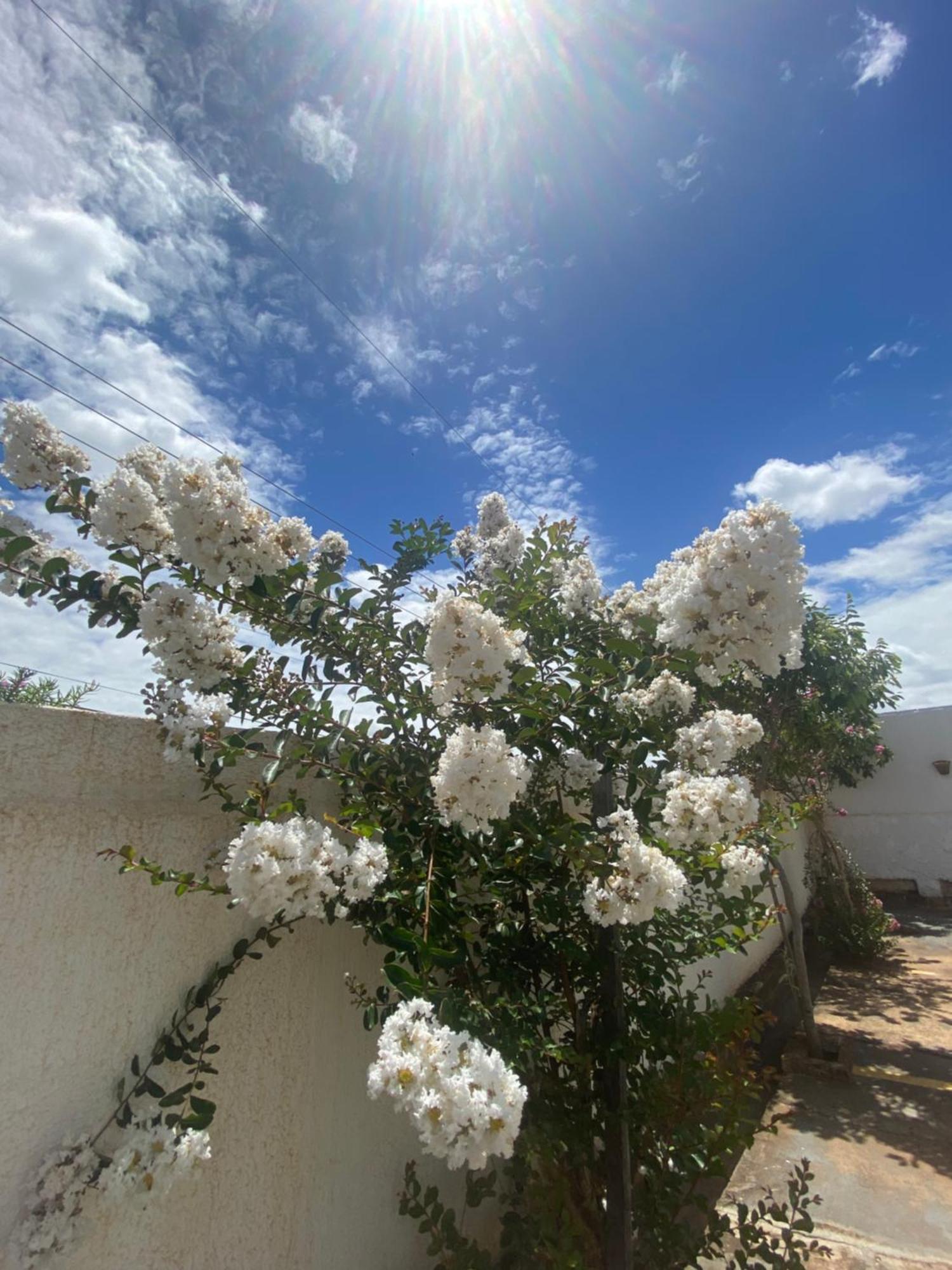 Queiroz Palace Hotel Siqueira Campos ภายนอก รูปภาพ