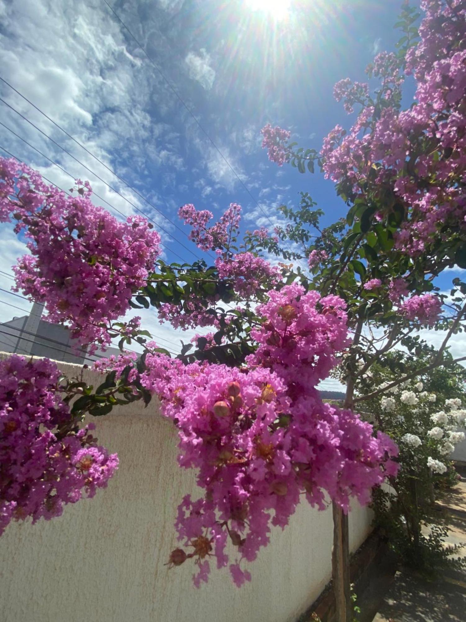Queiroz Palace Hotel Siqueira Campos ภายนอก รูปภาพ